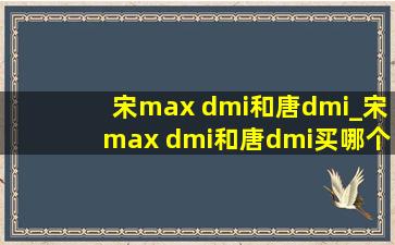 宋max dmi和唐dmi_宋max dmi和唐dmi买哪个